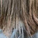 르네시떼시장 이미지