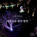 별빛애월 이미지