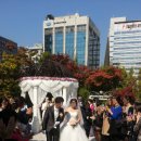 라루체(LaLuce) 이미지