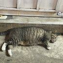 막이오름 부산서면점 네이버블로그