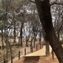 서창근린공원 이미지