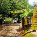 알프스산장 | 동상계곡 알프스산장 계곡 평상 후기