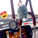 FANTASIA in my car. 이미지