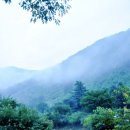 선야봉캠핑장 이미지