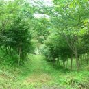 양편농장 이미지