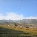 강진-13 | 전남 강진 가볼만한곳 다원 녹차밭 힐링 여행코스