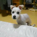 정다운세탁소 이미지