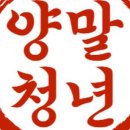 양말청년