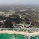 강릉우리집 이미지