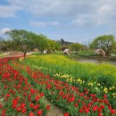 순천만국가정원 wwt습지원(철쭉정원) 화장실 | 순천만 국제정원박람회 6시간 관람후기! (미리 알아둘 것, 주차장, 주차팁, 스카이큐브, 순천만습지...