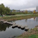 달서천변 이미지