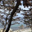 영덕6 | [영덕] ‘석동방파제’ 방문후기(+25/7/6 현재 산불로 폐쇄, 근처 스노쿨링 할만한 곳 주소)