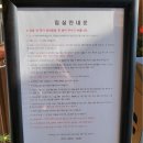 강원도 정선, 평창 여행 숙소-더 클라우드 글램핑 후기(바베큐, 불멍)