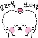 댕댕어썸 이미지