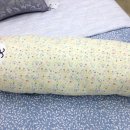 알레르망대구 - 달서구 달구벌대로 1516 | 알레르망대구