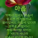 천운타고