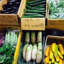 인정상회 이미지