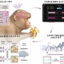 신호개발