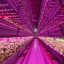 나우농장 이미지