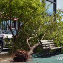 진모축구장 이미지