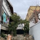 올리브뷰티하우스