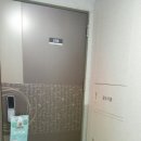 허니도그 이미지