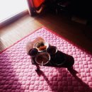 시골쉼터민박 이미지