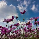 중앙체육공원 이미지