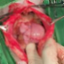 수성동물병원(일반동물병원) 이미지