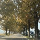 창평성심의원 이미지