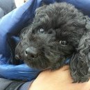 갤러리윤 이미지