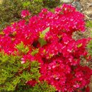 수림농원 이미지