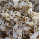 해밀2농장 이미지