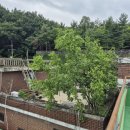 중앙동221 이미지