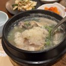 백제령삼계탕 | 창원 마산 삼계탕 맛집 백제령삼계탕 몸보신 모임한 후기