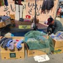 일로5일시장(1) 이미지