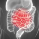 유정 | 식이섬유 영양제 포뮬라인 케비진저 식이섬유정 후기