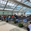 대구광역시농업기술센터 이미지