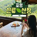 구름위에 산장 | 포항 선류산장 바다 말고 산으로 내돈내산 후기