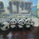 판다부동산중개사무소 이미지