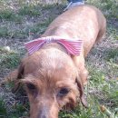 한상태농장 이미지