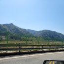 신나라모터스 이미지