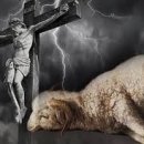 유월절 어린 양 이미지