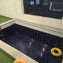 아이숲키즈풀빌라 이미지