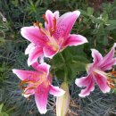 천안우리요양병원 이미지