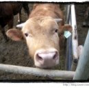 씨알목장 이미지