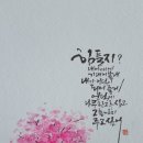 와이리