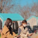 곡성 섬진강 기차마을 이미지