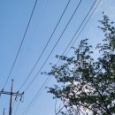 충청남도 서울학사관 | [서울 보금자리 구하기] 충남학사, 독산동 기숙사형 청년주택 등 서울 1인 대학생 기숙사
