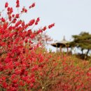 이고운
